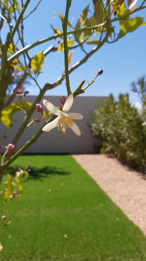 Villa Home Holiday A Cala Rossa Леччи Екстериор снимка