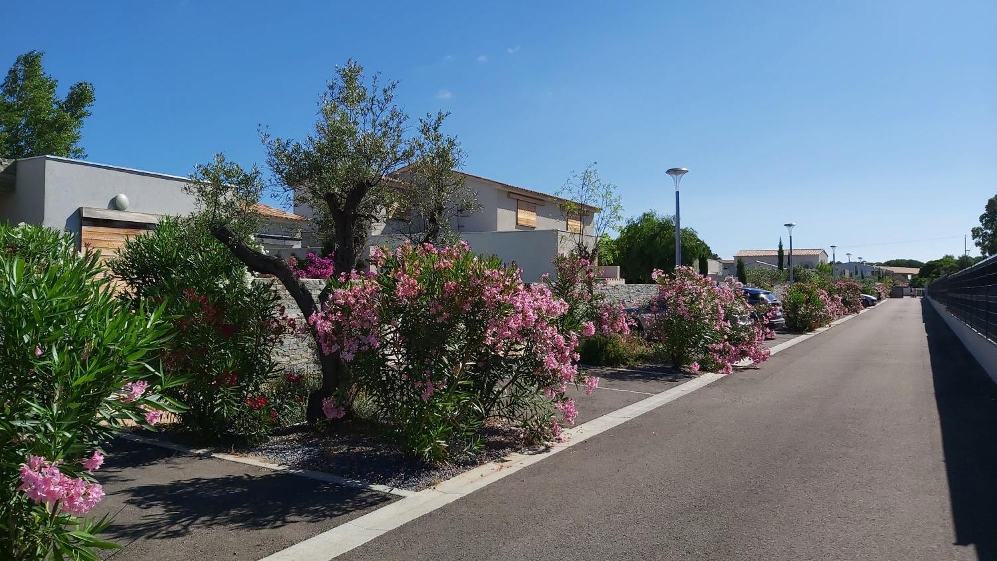 Villa Home Holiday A Cala Rossa Леччи Екстериор снимка